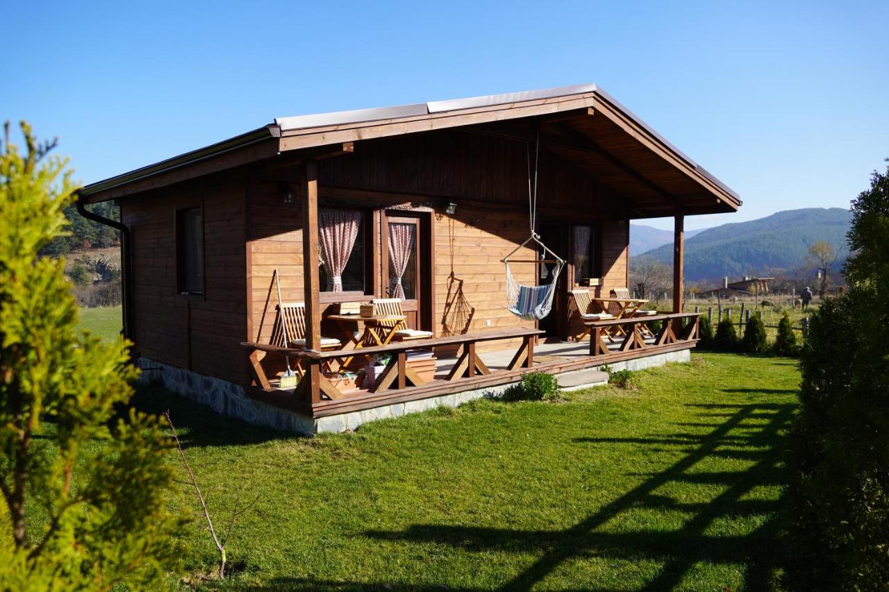Hotel Orbel Dobrinishte Luaran gambar