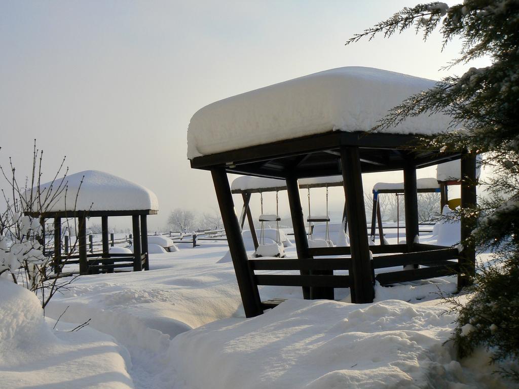 Hotel Orbel Dobrinishte Luaran gambar