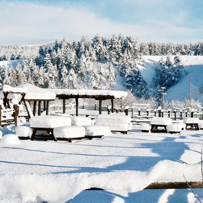 Hotel Orbel Dobrinishte Luaran gambar